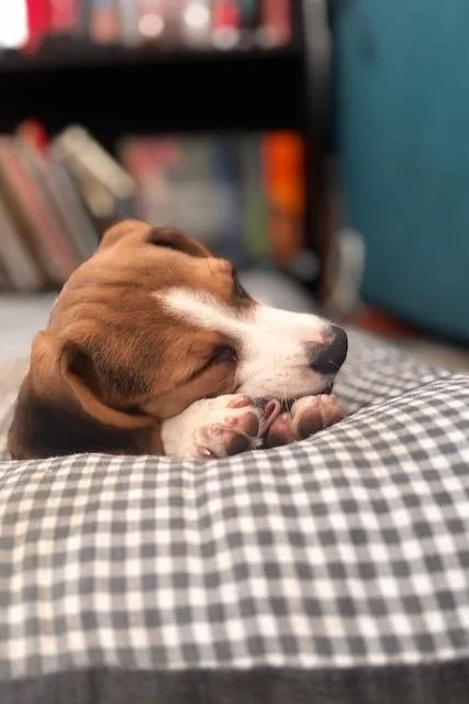 Imports - 12 of 13.jpeg