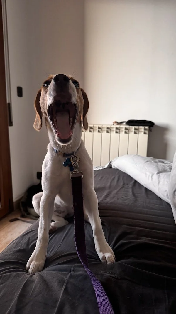 A Rant, A Revelation, and a Recap