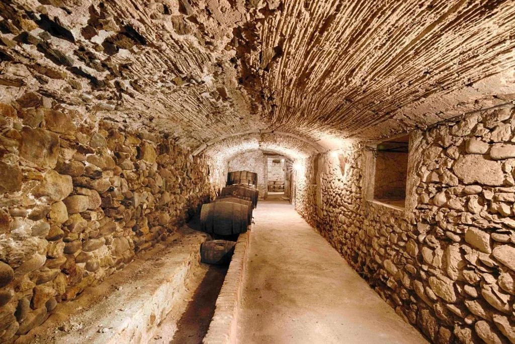 winecellar.jpg