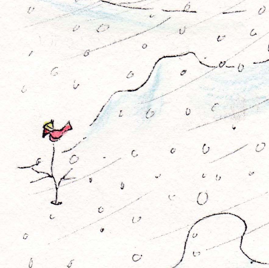 I made a hat for red bird so his topnotch would not get messed up by bad weather. 