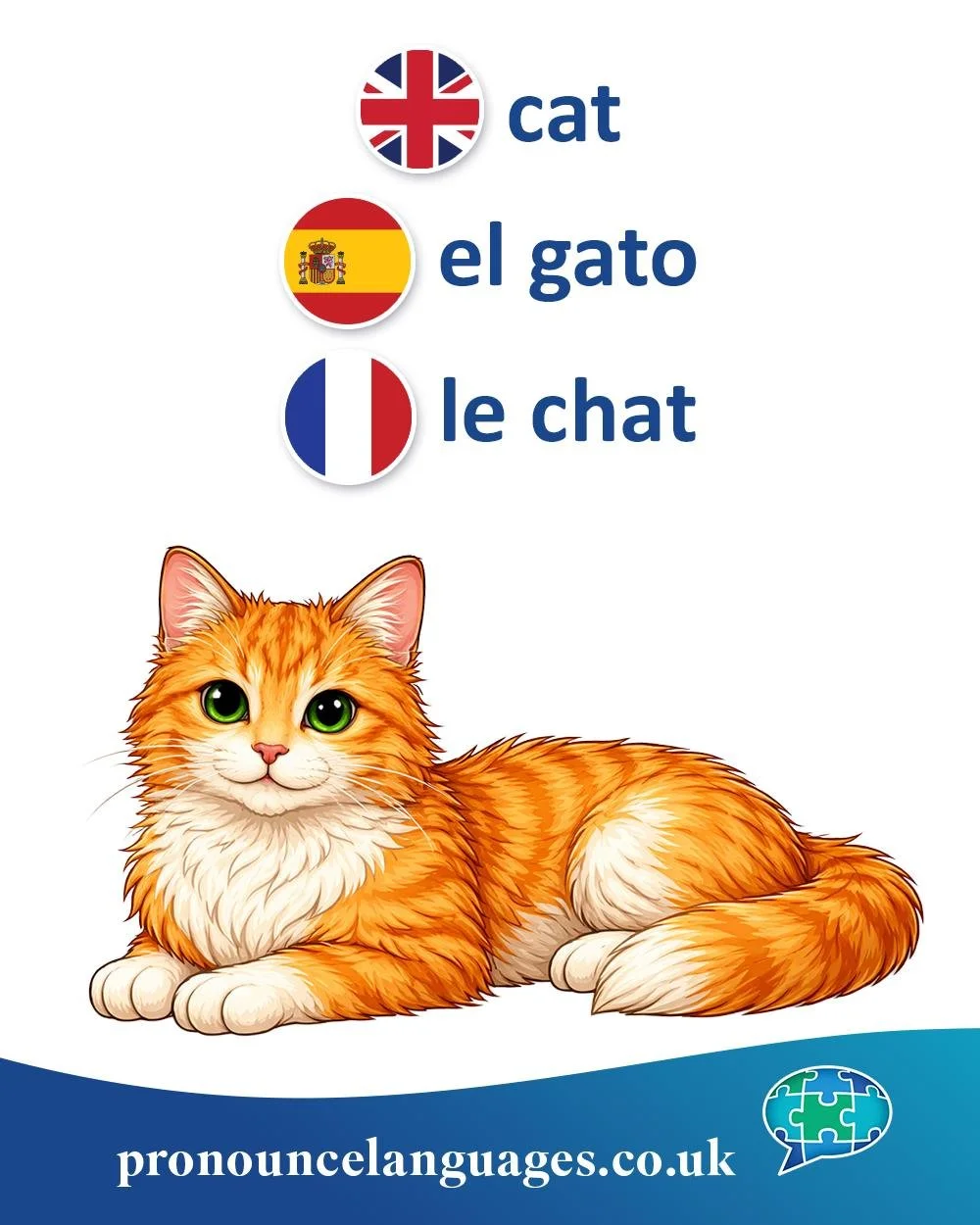 Word of the Day 🐱

🇬🇧 Cat comes from Old English catt, from Late Latin cattus. The word spread widely across Europe, replacing earlier terms for domestic cats. Its ultimate origin is uncertain, but it may be of African or Middle Eastern origin, po