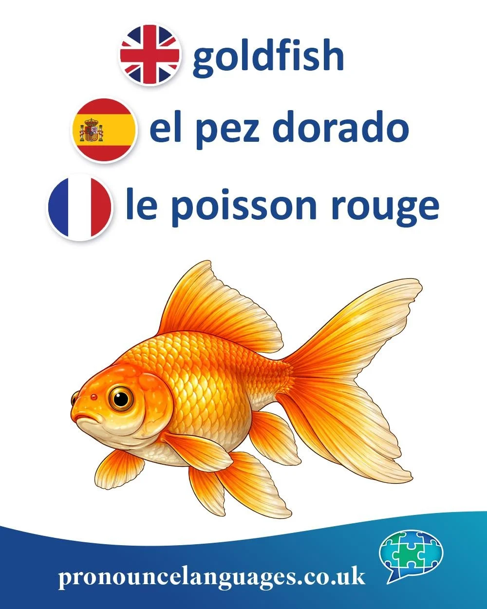 Today is poisson d'avril in France! Read below to find out more. 

Word of the Day 🐠 A brand new topic for April - animals!

🇬🇧 Goldfish is a compound of gold + fish, describing the bright golden colour of this common aquarium fish. The name is ve