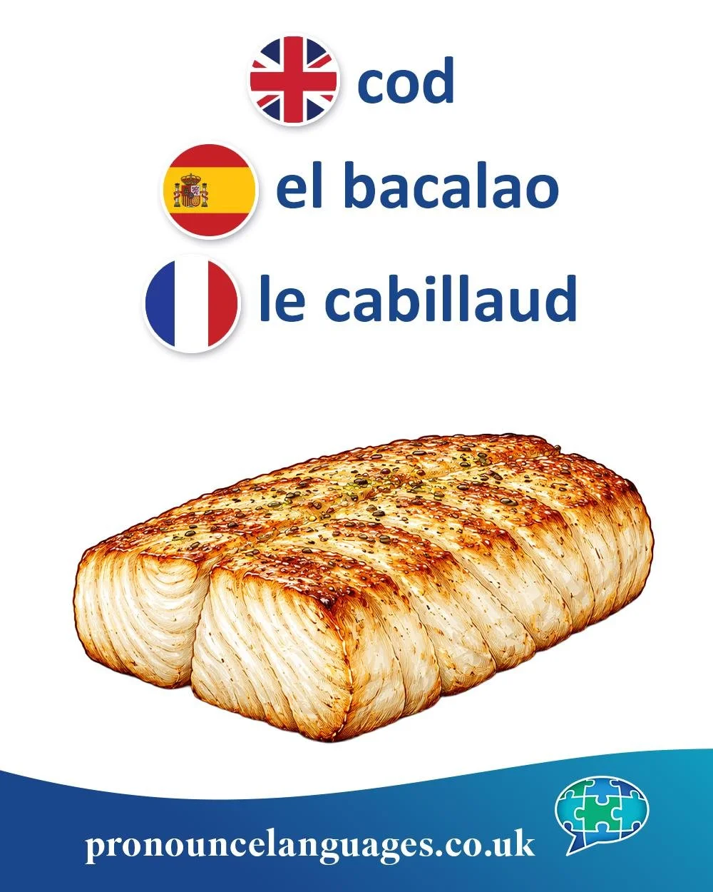 Word of the Day 🐟

🇬🇧 Cod comes from Old English cod, meaning &ldquo;bag&rdquo; or &ldquo;pouch.&rdquo; The name may refer to the fish&rsquo;s distinctive belly or roe sack.

🇪🇸 El bacalao comes from a Germanic root, possibly related to Old Dutc