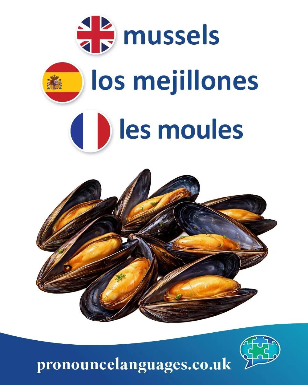 Word of the Day 🐚

🇬🇧 Mussel comes from Old English muscle, from Old French mussel, from Latin musculus, meaning &ldquo;little mouse.&rdquo; The name may refer to the shape of the shell or how it moves slightly, like a mouse.

🇪🇸 El mejill&oacut