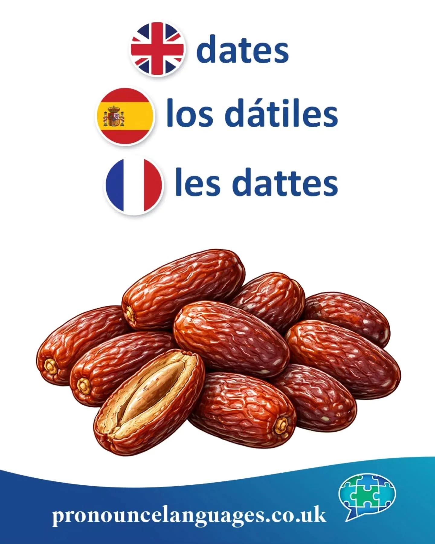 Word of the Day 🌴

🇬🇧 Date (the fruit) comes from Old French date, from Latin dactylus, from Greek daktylos, meaning &ldquo;finger.&rdquo; The name refers to the long, finger-like shape of the fruit.

🇪🇸 El d&aacute;til comes from Latin dactylus