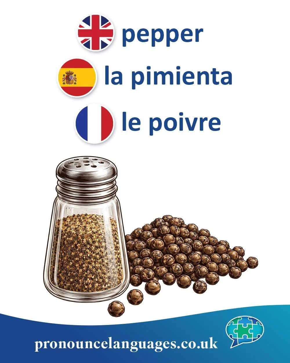 Word of the Day 

🇬🇧 Pepper (the seasoning) comes from Old English pipor, from Latin piper, from Greek peperi, which ultimately comes from Sanskrit pippalī, the name of a spice from India. The word originally referred to long pepper and later to bl