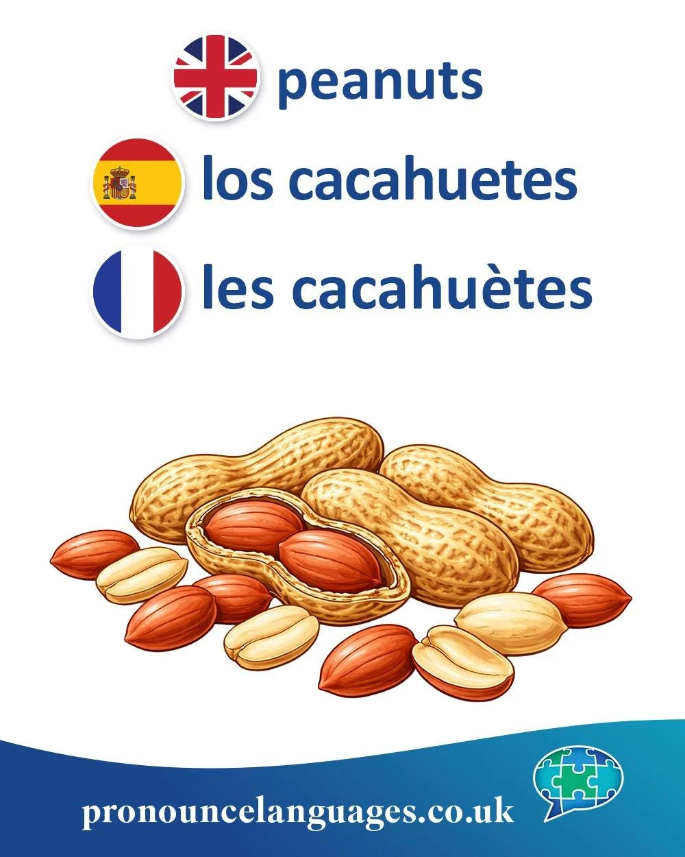 Word of the Day 🥜

🇬🇧 Peanut is a modern English compound: pea + nut. The name comes from the plant&rsquo;s small, round seeds, which reminded English speakers of peas, even though peanuts are not true nuts but legumes.

🇪🇸 Los cacahuetes comes 