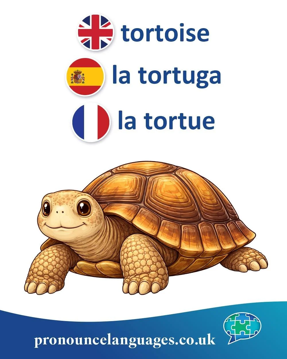 Word of the Day 🐢

🇬🇧 Tortoise comes from Old French tortue, from Late Latin tortuca, which is related to Latin tortus, meaning &ldquo;twisted.&rdquo; The name likely refers to the animal&rsquo;s curved, shell-covered shape.

🇪🇸 La tortuga comes