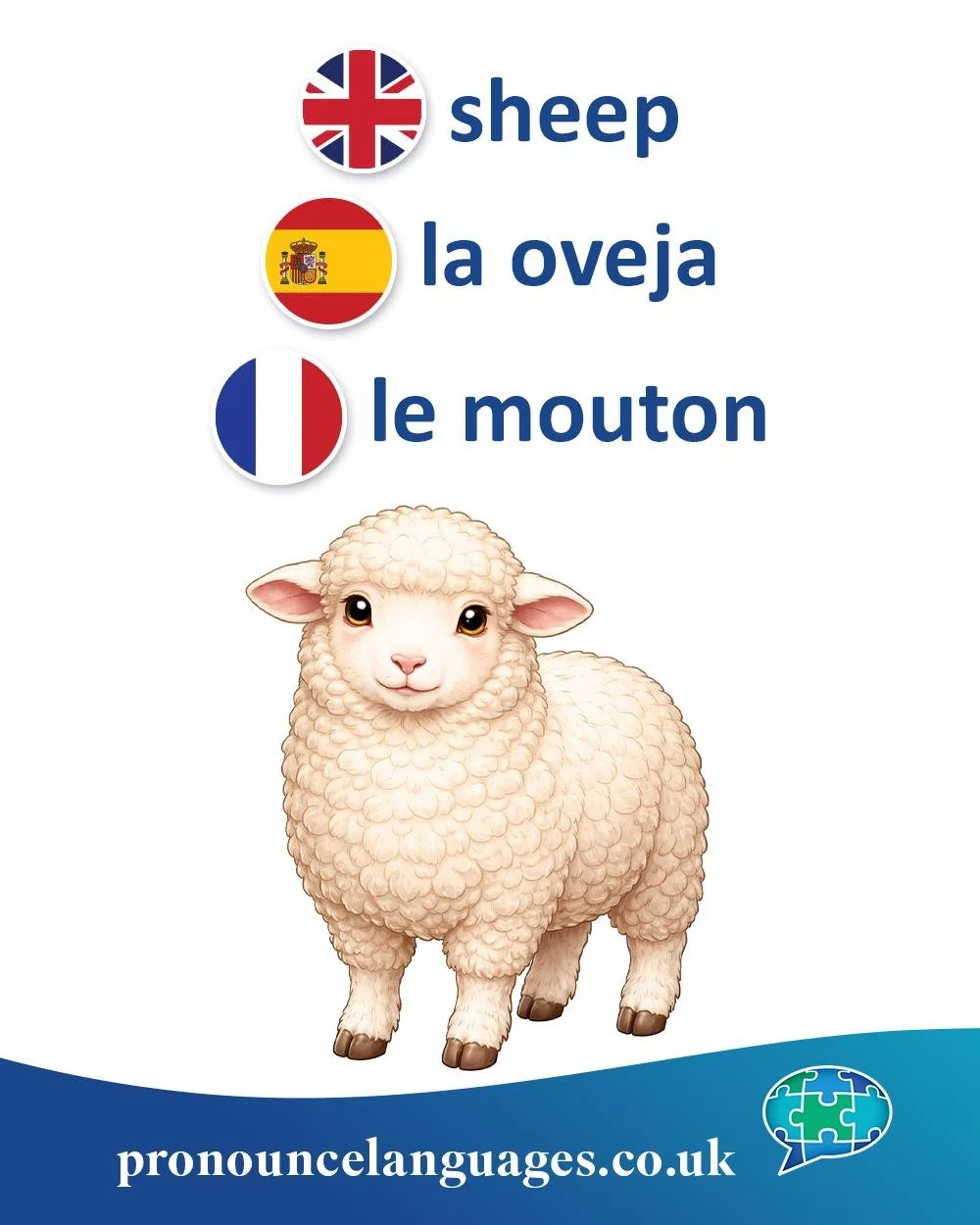 Word of the Day 🐑

🇬🇧 Sheep comes from Old English scēap, from Proto-Germanic skēpą. It is an ancient Germanic word, though its deeper origin is uncertain compared to some other farm animals.

🇪🇸 La oveja comes from Latin ovīcula, a diminutive o