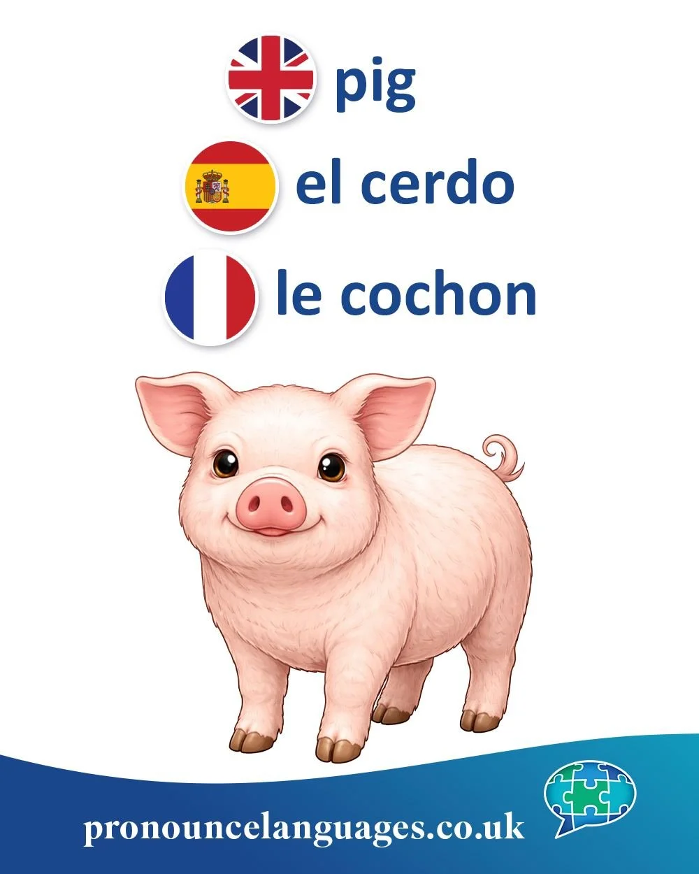 Word of the Day 🐖

🇬🇧 Pig comes from Old English picg, originally referring to a young pig. Over time, it replaced older words like swine (general term) and hog.

🇪🇸 El cerdo comes from Latin cĕrdus, meaning pig. Spanish also uses el puerco (fro
