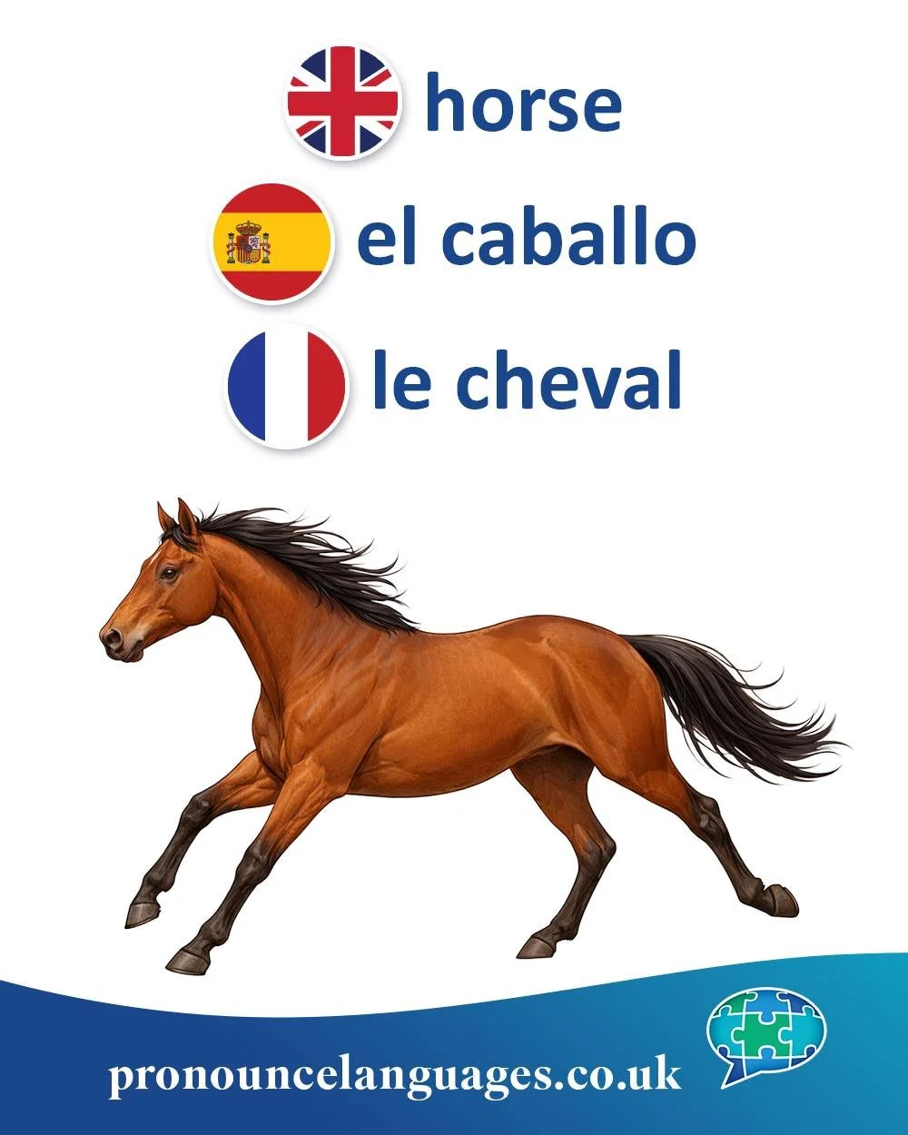 Word of the Day 🐎

🇬🇧 Horse comes from Old English hors, from Proto-Germanic hursaz. It is the everyday Germanic word, though Old English also had eoh (from Proto-Indo-European h₁&eacute;ḱwos), which disappeared over time.

🇪🇸 El caballo comes f