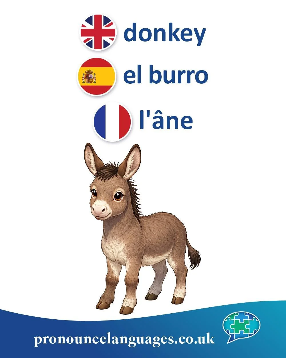 Word of the Day 🫏

🇬🇧 Donkey is a relatively recent English word, first appearing in the late 18th century. Its origin is uncertain, but it may come from dialect or slang, possibly influenced by dun (a greyish-brown colour) + a diminutive suffix, 