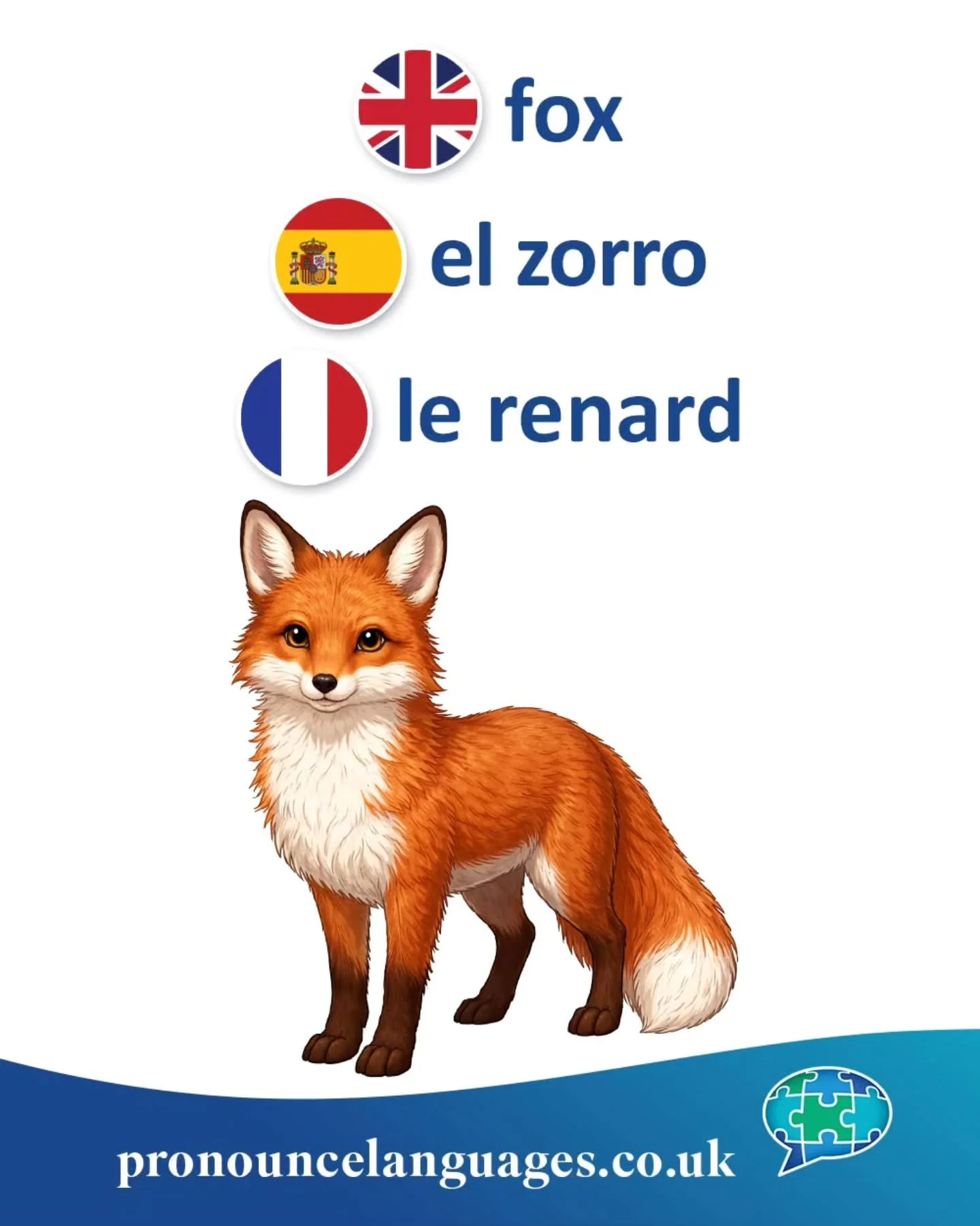 Word of the Day 🦊

🇬🇧 Fox comes from Old English fox, from Proto-Germanic fuhsaz. It is related to German Fuchs and Dutch vos.

🇪🇸 El zorro is of uncertain origin, possibly from a pre-Roman or expressive root. It became the standard modern Spani