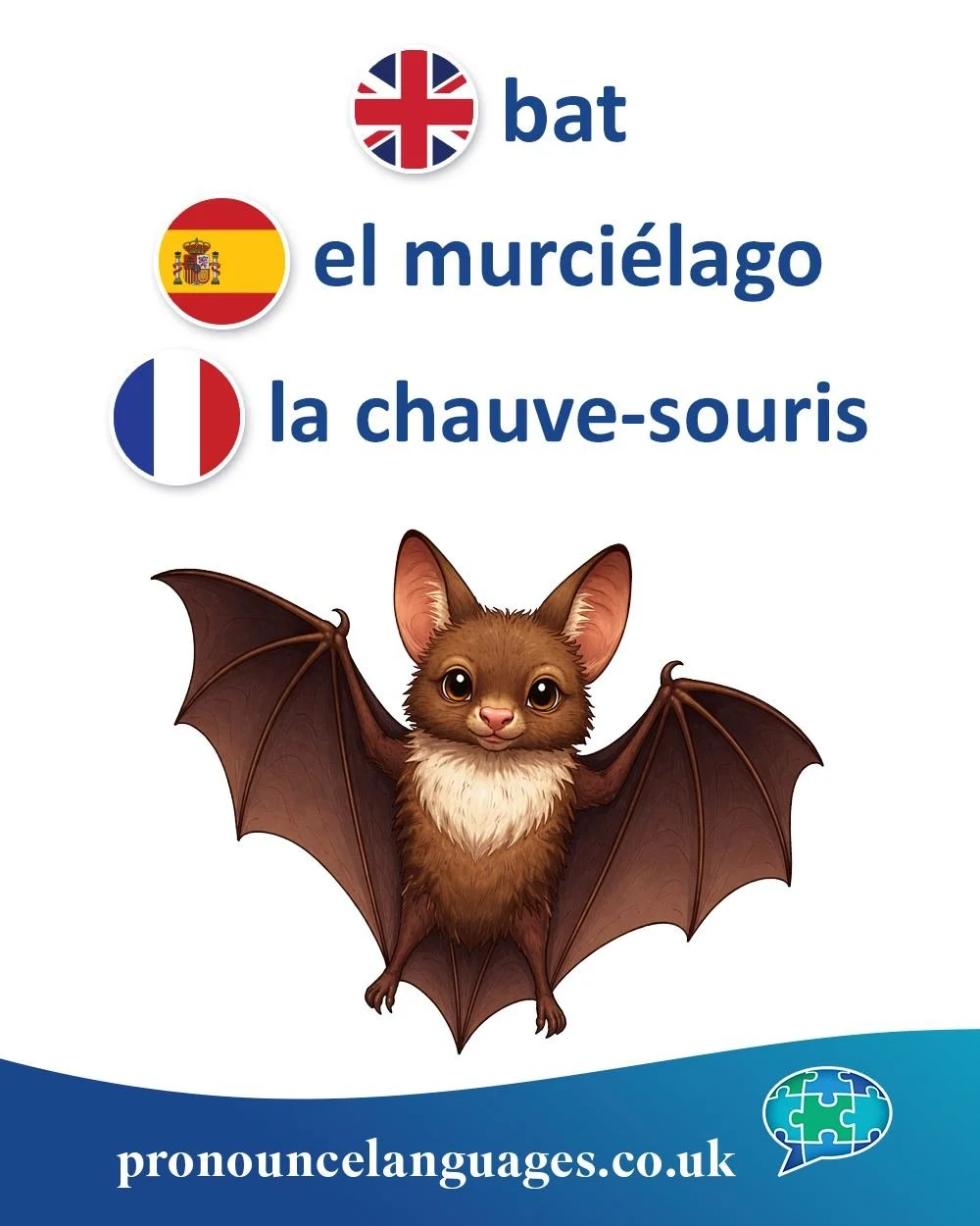 Word of the Day 🦇

🇬🇧 Bat (the animal) comes from Middle English bakke, possibly from a Scandinavian source. Its exact origin is uncertain, but it may be linked to words meaning &ldquo;flapping&rdquo; or movement.

🇪🇸 El murci&eacute;lago comes 