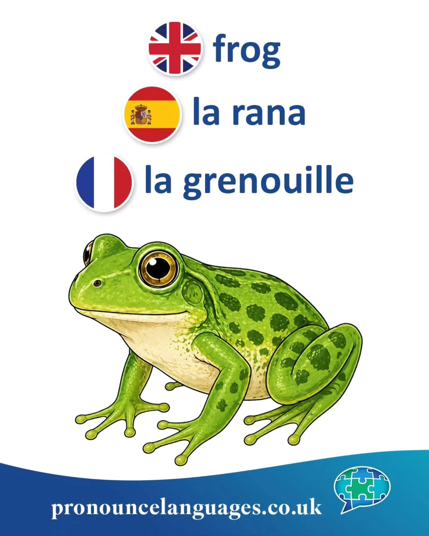 Word of the Day 🐸

🇬🇧 Frog comes from Old English frogga, of uncertain origin. It may be related to words meaning &ldquo;to jump&rdquo; or &ldquo;to crawl,&rdquo; but its exact roots are unclear.

🇪🇸 La rana comes from Latin rana, meaning frog.
