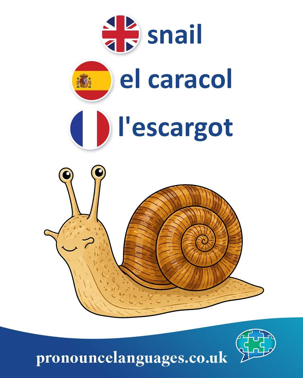 Word of the Day 🐌

🇬🇧 Snail comes from Old English sn&aelig;gl, from Proto-Germanic snagilaz. It is related to words meaning &ldquo;to creep&rdquo; or &ldquo;to crawl,&rdquo; reflecting the snail&rsquo;s slow movement.

🇪🇸 El caracol comes from 