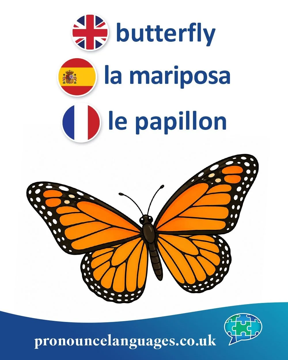 Word of the Day 🦋

🇬🇧 Butterfly comes from Old English butorflēoge (&ldquo;butter&rdquo; + &ldquo;fly&rdquo;). The origin is uncertain, but one theory is that it refers to the pale yellow colour of some butterflies, like butter.

🇪🇸 La mariposa 