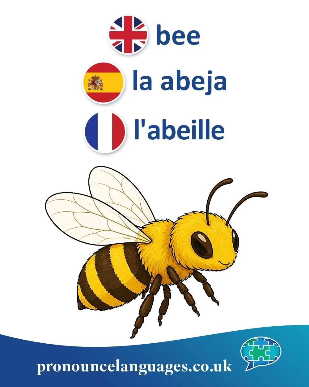 Word of the Day 🐝

🇬🇧 Bee comes from Old English bēo, from Proto-Germanic bīōn. It is an ancient word, related to German Biene.

🇪🇸 La abeja comes from Latin apis (&ldquo;bee&rdquo;). The form evolved through a Late Latin variant apicula (&ldquo