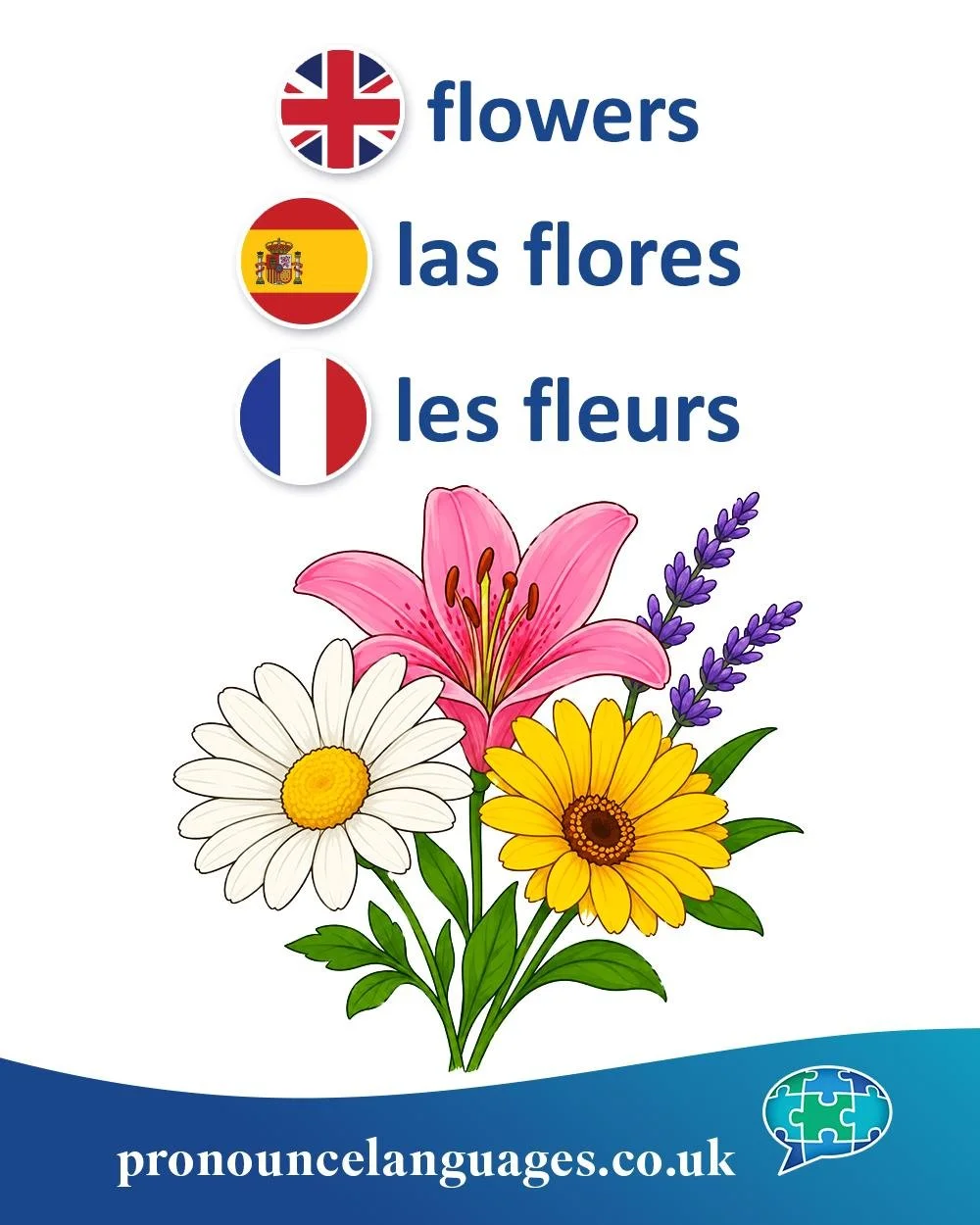 Word of the Day 🌸

🇬🇧 Flower comes from Old French flour / flor, from Latin flos, floris, meaning flower or blossom. The same root appears in words like floral.

🇪🇸 La flor comes directly from Latin flos / floris.

🇫🇷 La fleur also comes from 