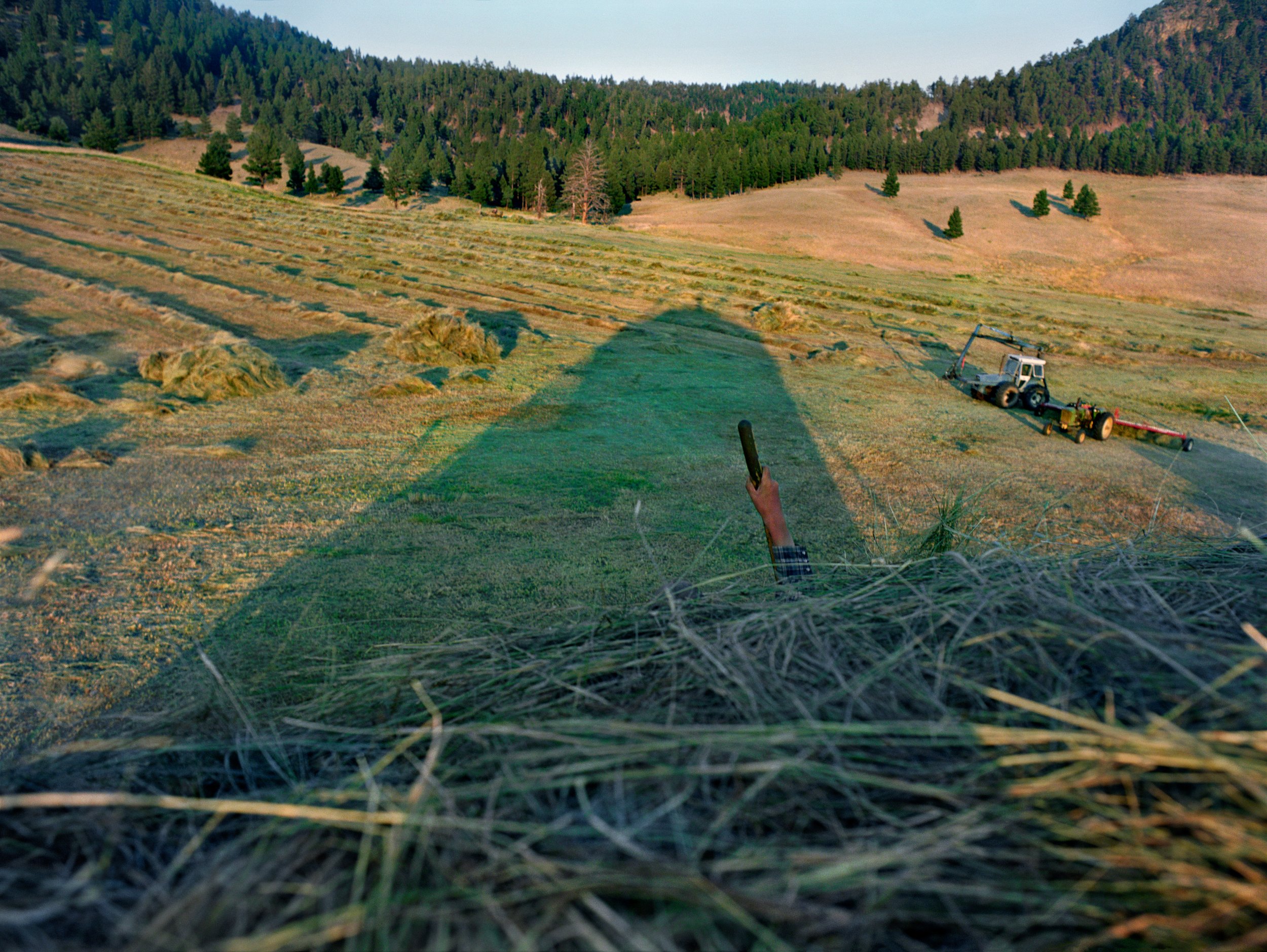 Holly Lynton - Bare Handed - 18 - Top Haystack.jpg