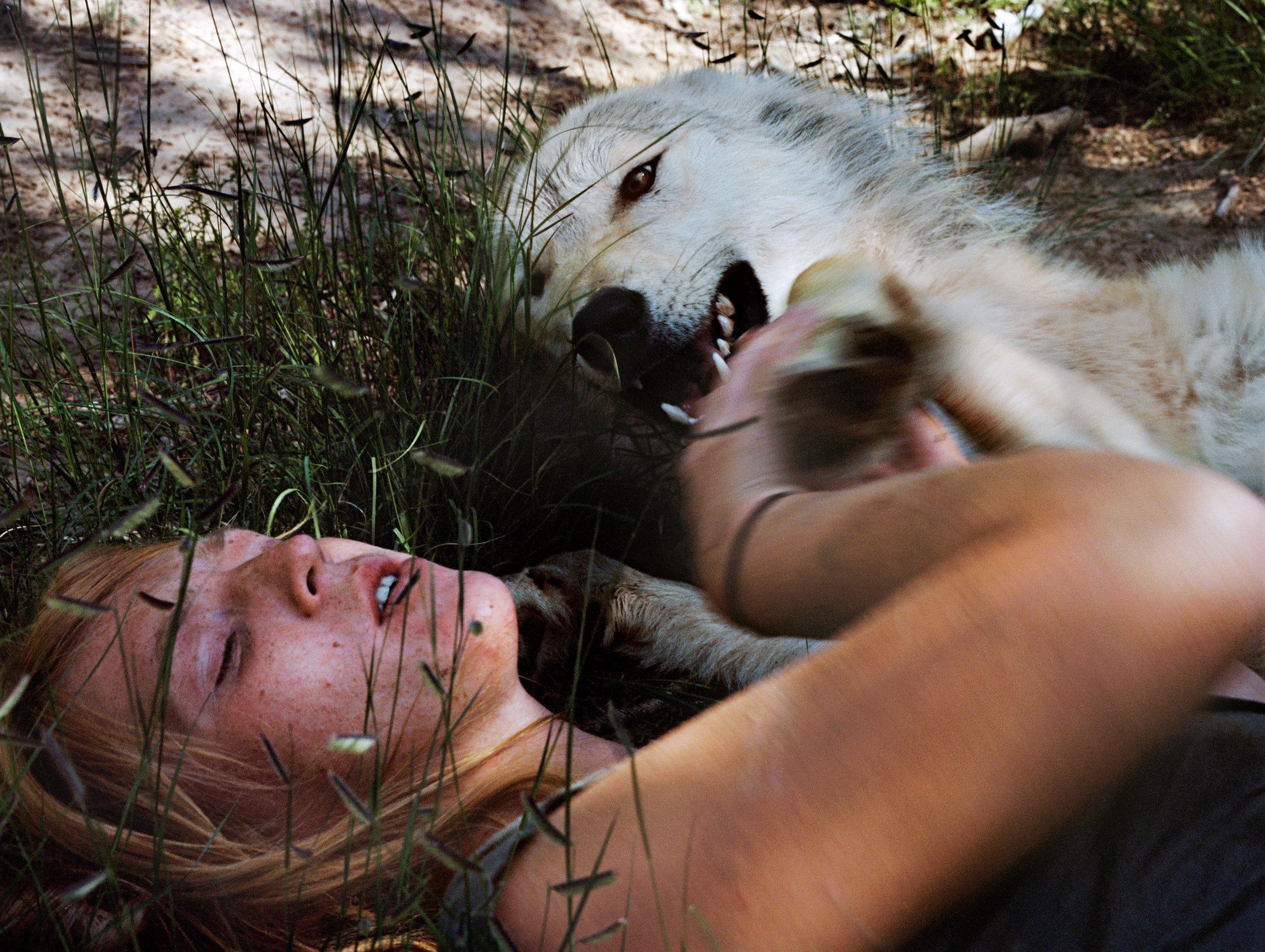 Holly Lynton - Bare Handed - 35 - Wolf.jpg