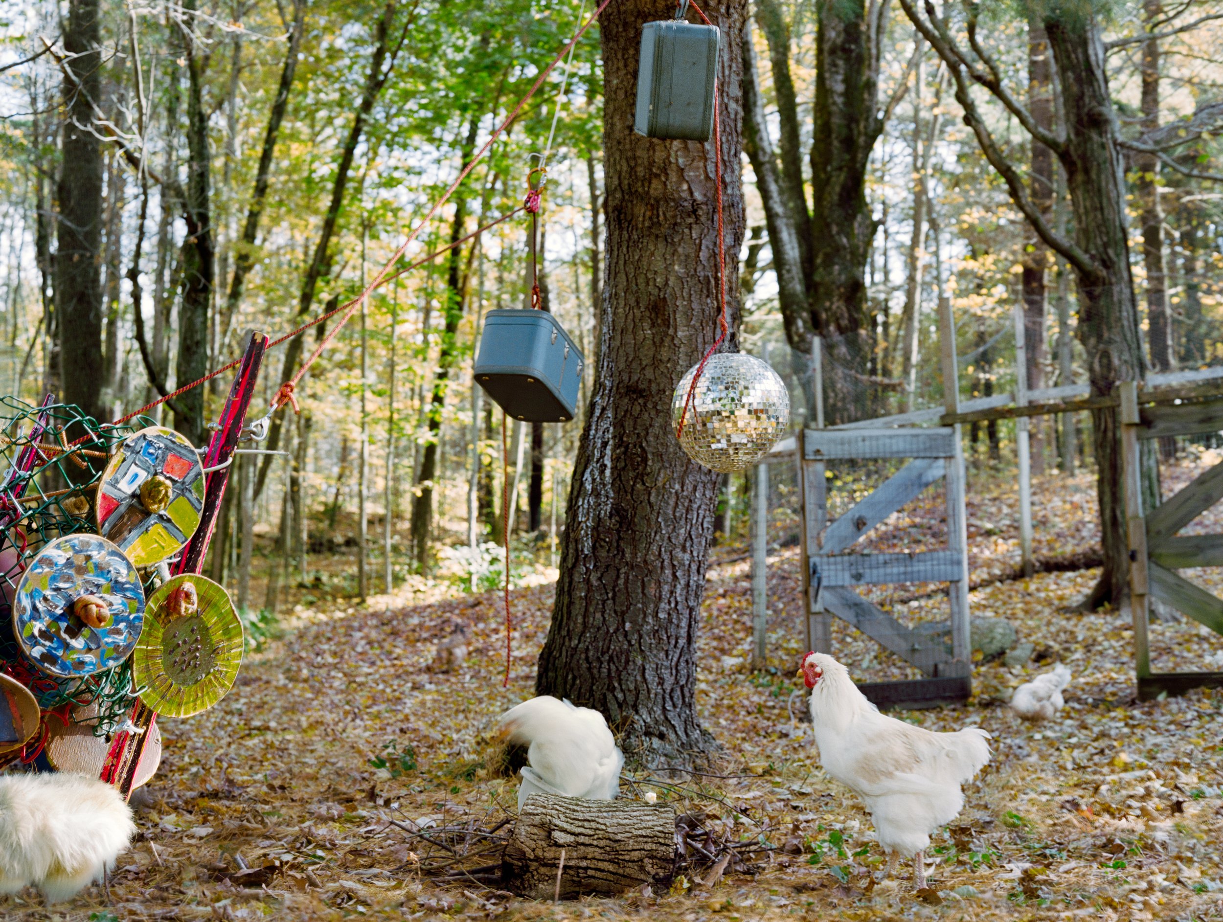 Holly Lynton - Bare Handed - 23 - Disco Chicken.jpg