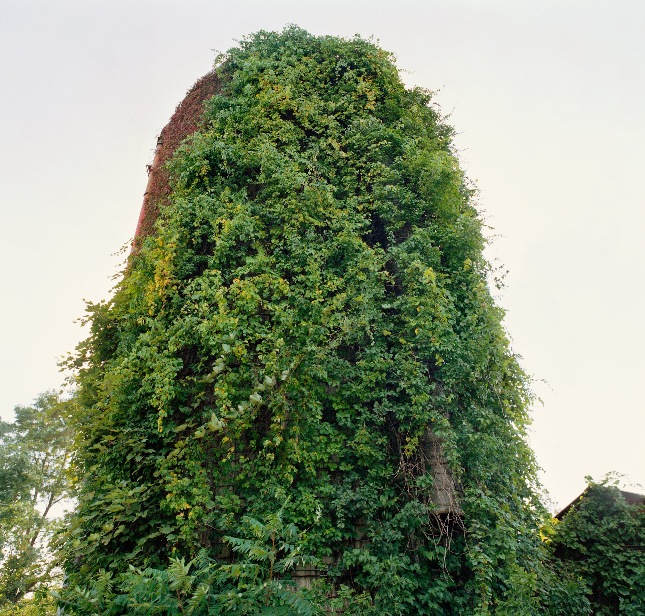 Holly Lynton - Bare Handed - 47 - silo.jpg