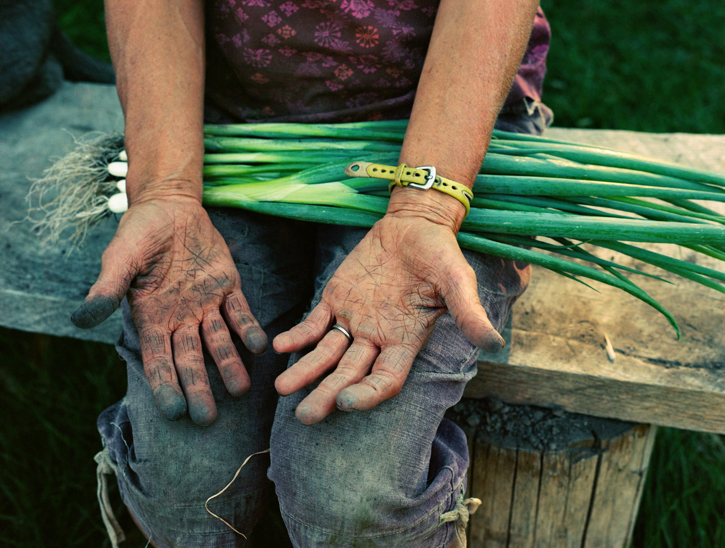 Holly Lynton - Bare Handed - 73 - hands scallions.jpg