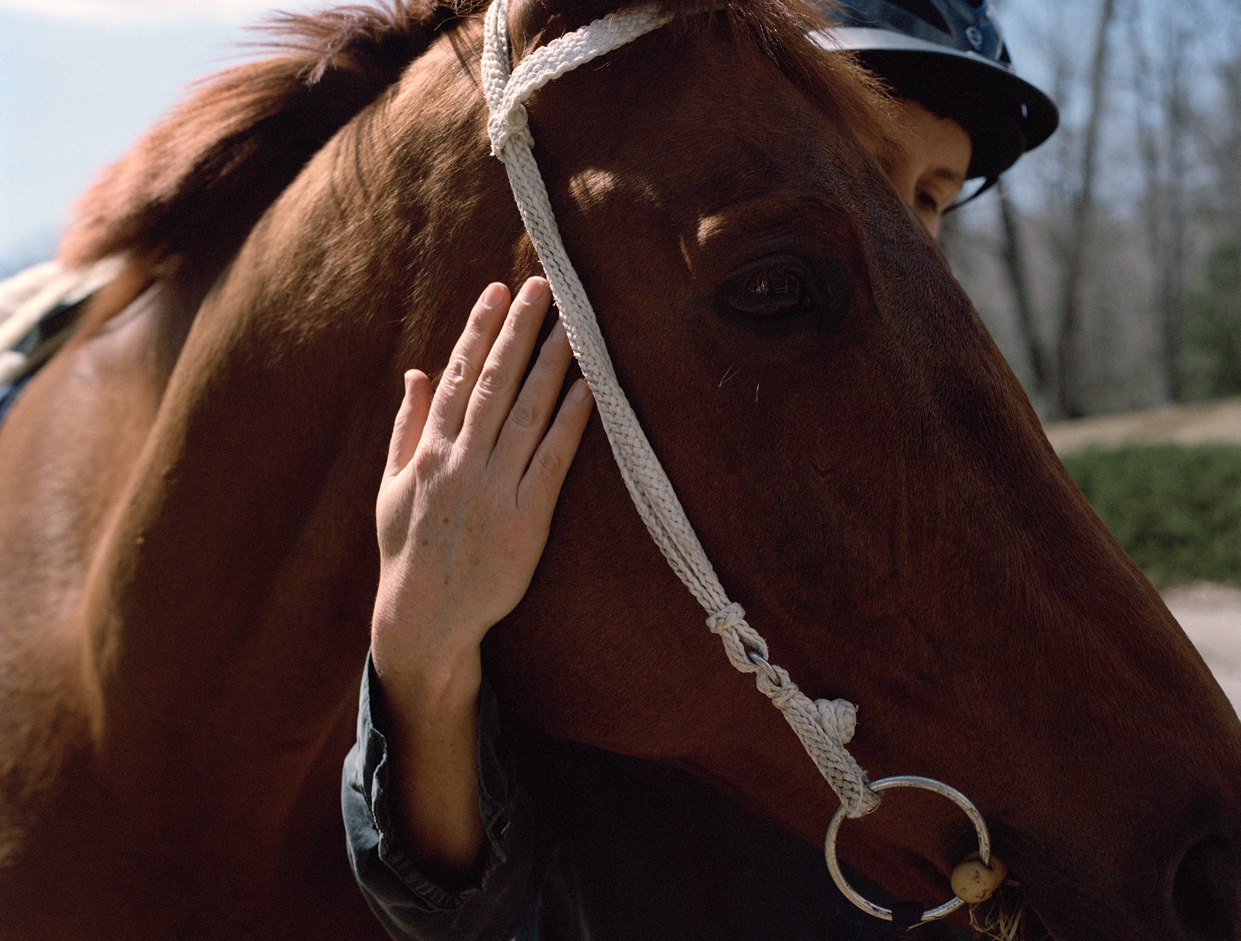  "I Saved an Abused, Broken Horse. Or Did She Save Me?," Courtney Maum,  The Guardian , April 2022 