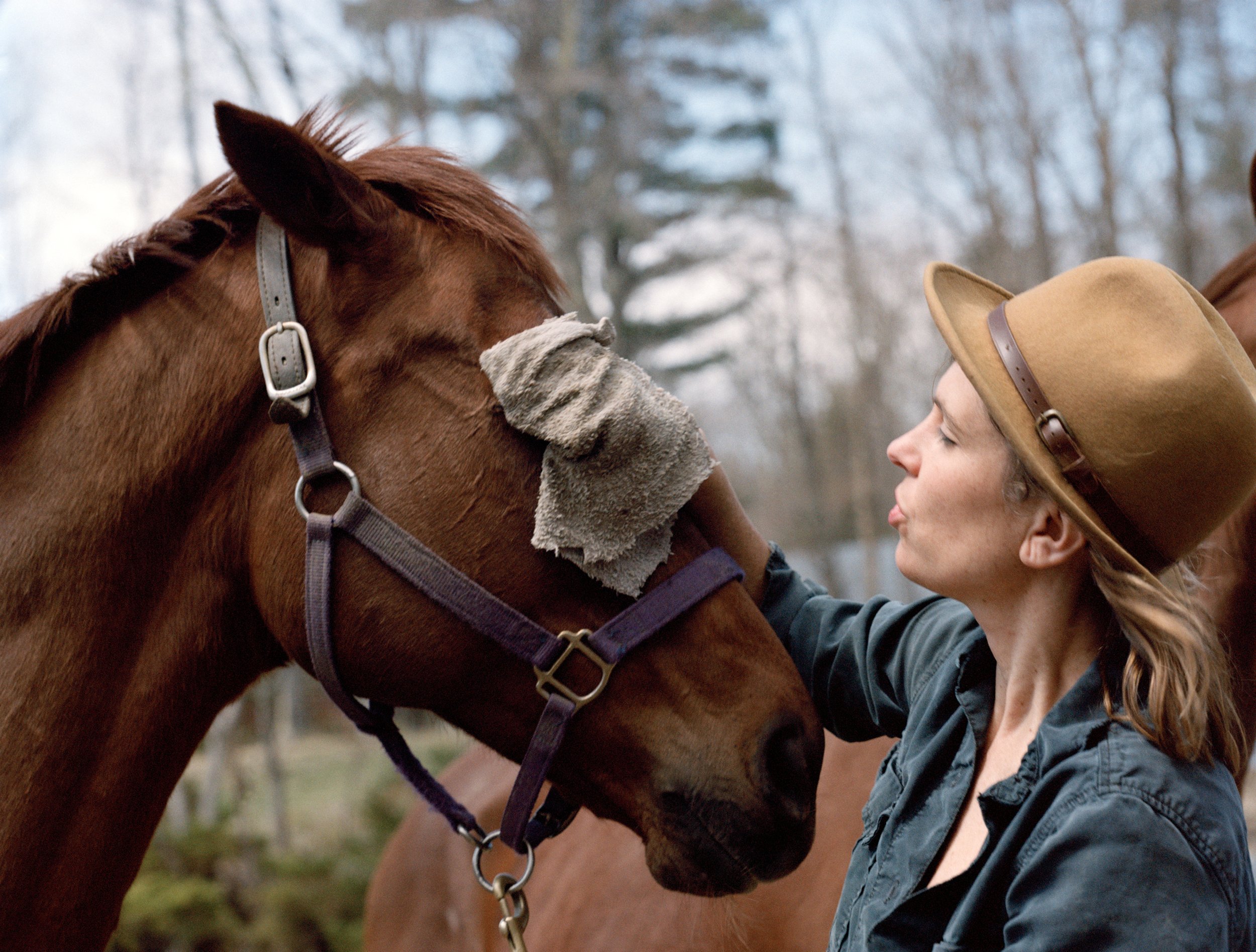  "I Saved an Abused, Broken Horse. Or Did She Save Me?," Courtney Maum, The Guardian, April 2022 