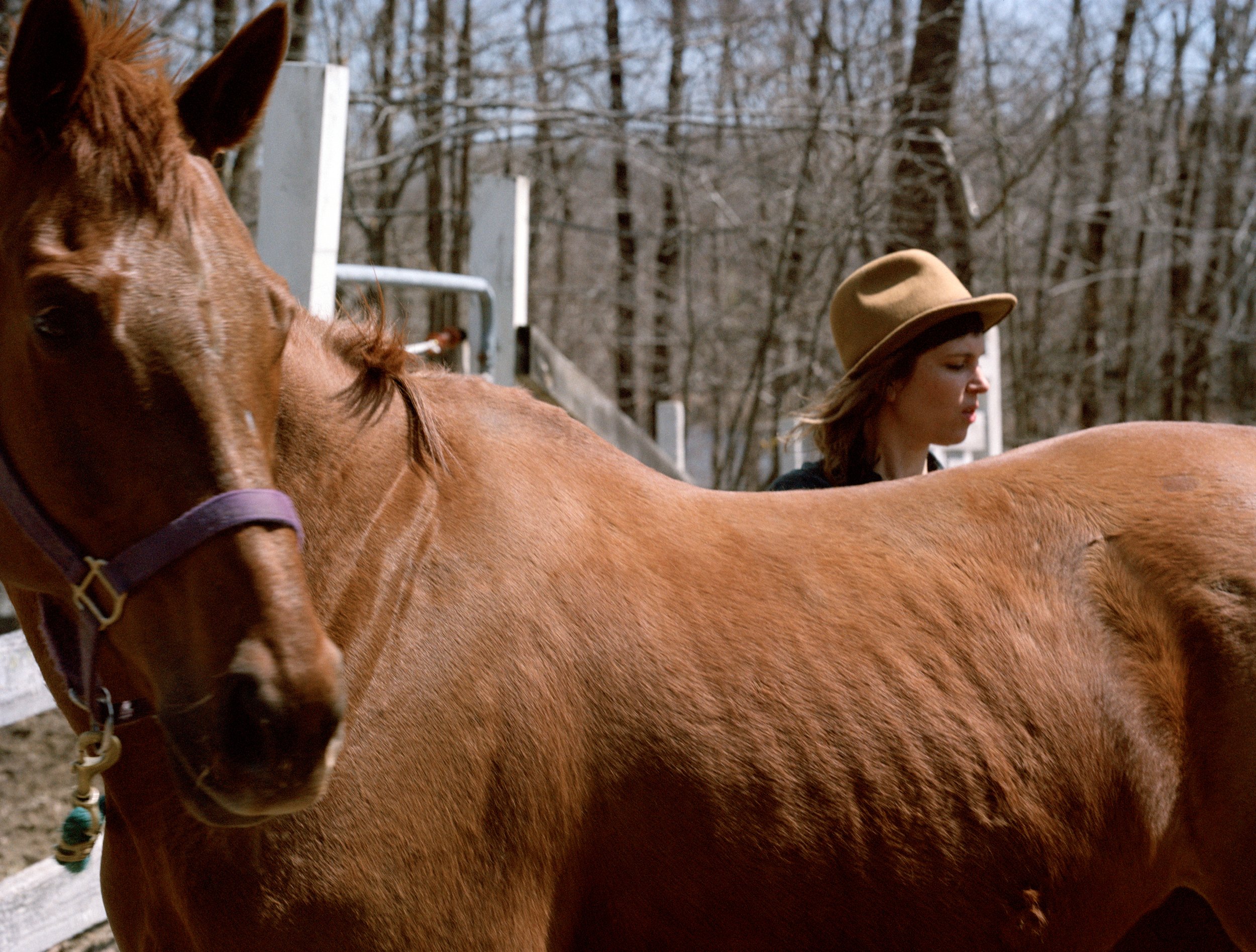  "I Saved an Abused, Broken Horse. Or Did She Save Me?," Courtney Maum, The Guardian, April 2022 