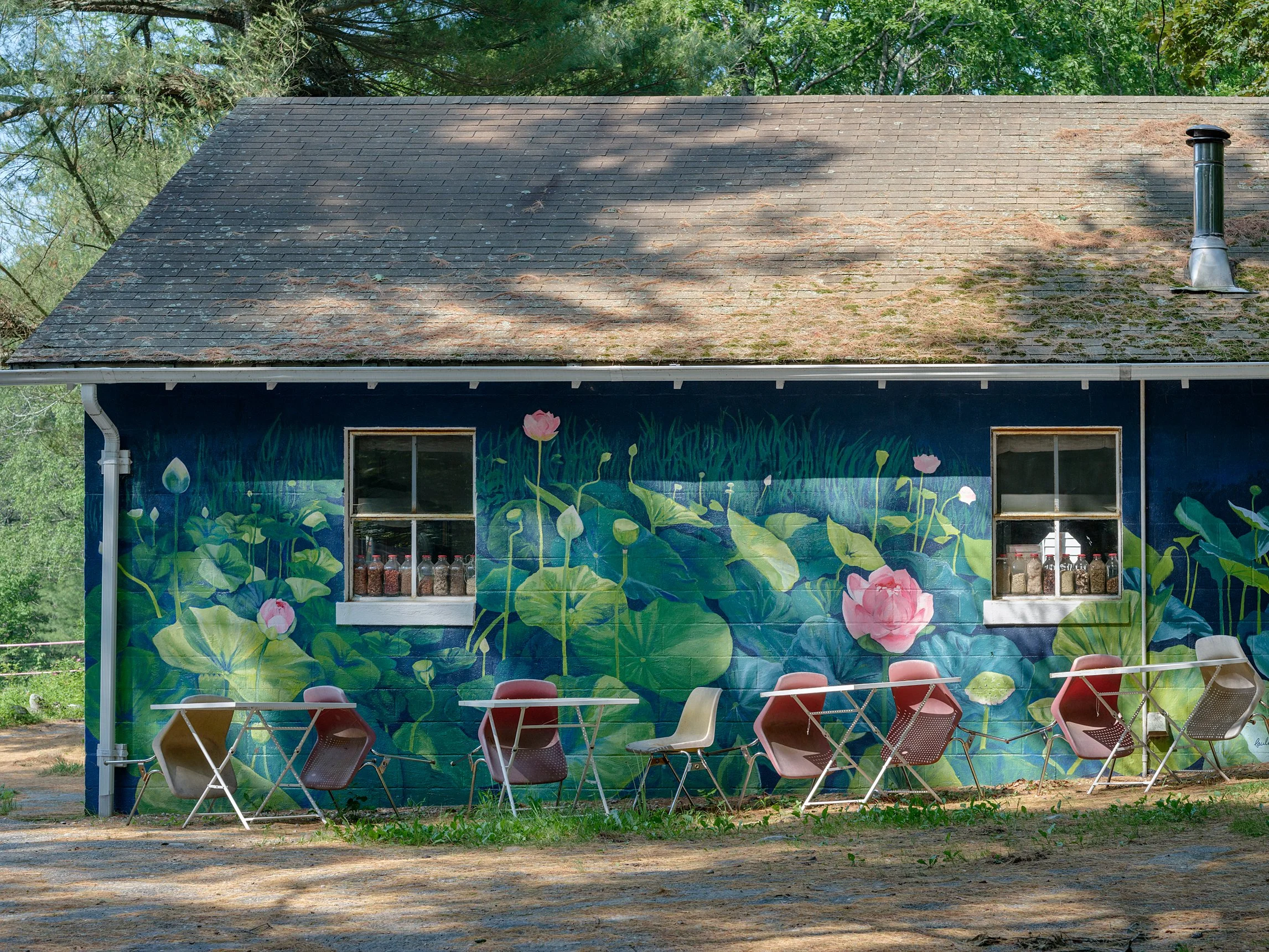 Teen Vogue_Sirius_Holly Lynton_3775-1.jpg