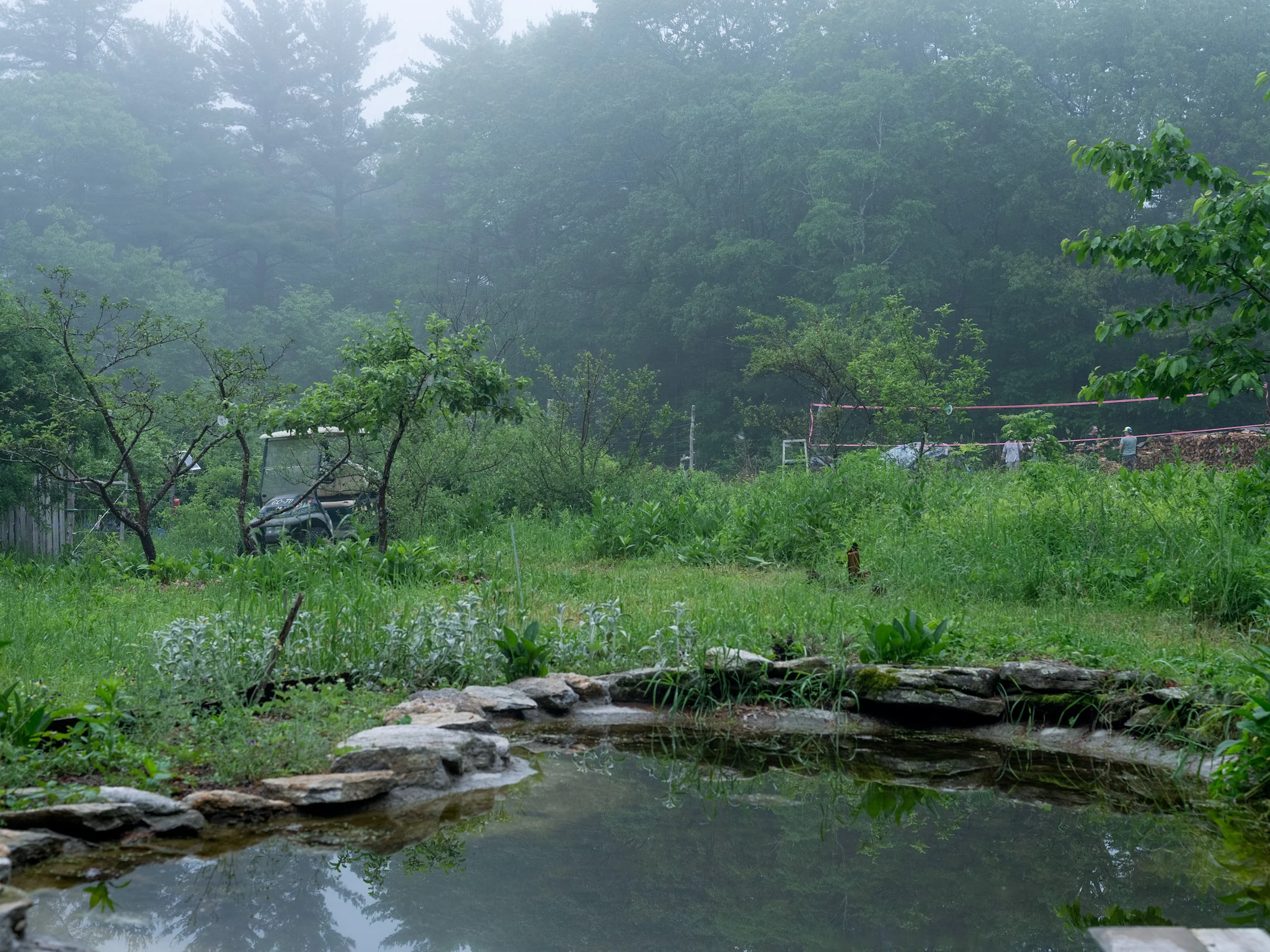 Sirius_Joyful Productivity_Teen Vogue_Holly Lynton_3823-1.jpg