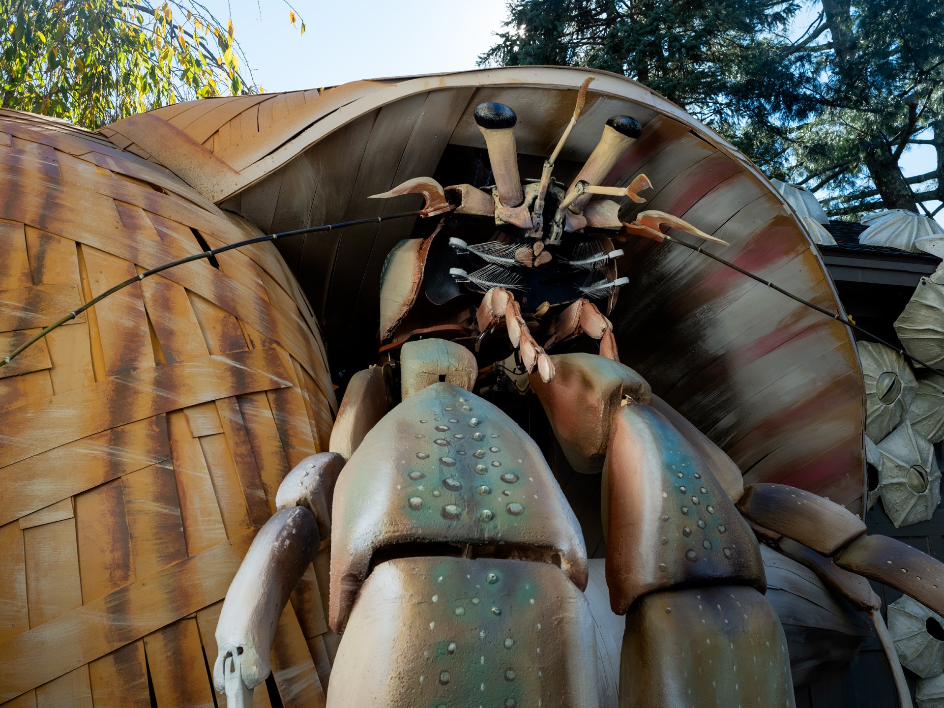 Holly Lynton_Tom Saltsman Hermit Crab 2025_9824-1-k-2.jpg