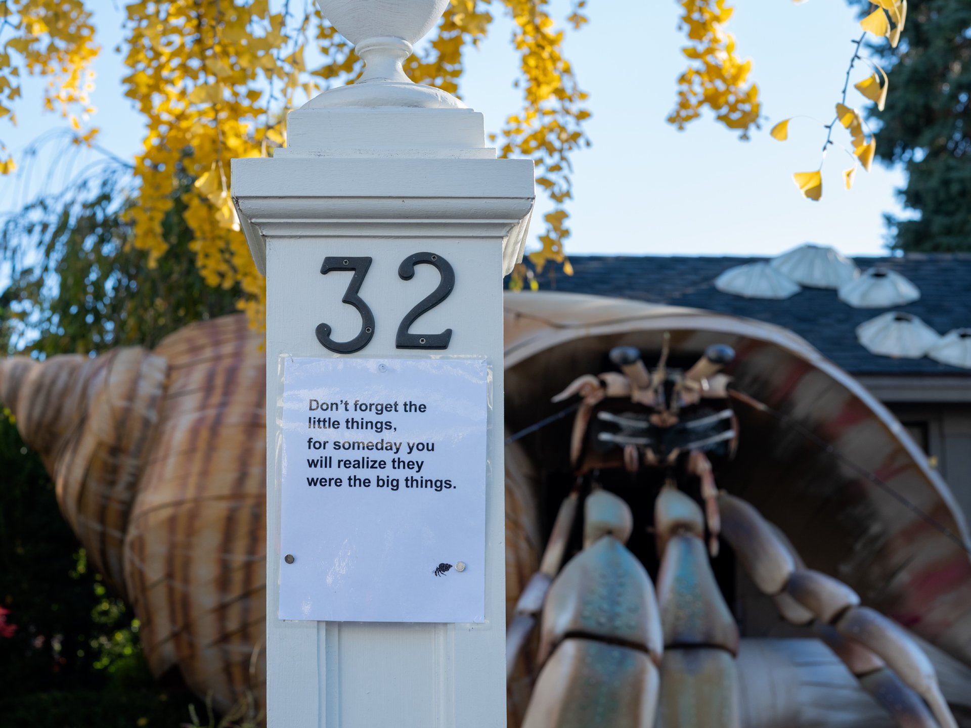 Holly Lynton_Tom Saltsman Hermit Crab 2025_0318-1-k-2.jpg