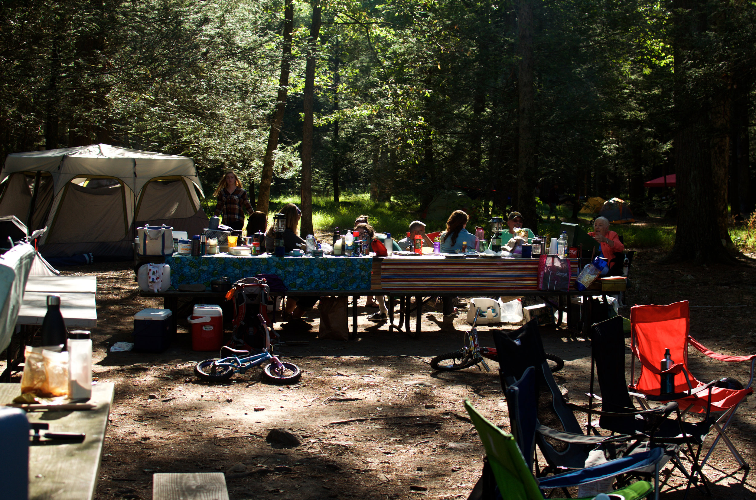 DSC_0706.jpg
