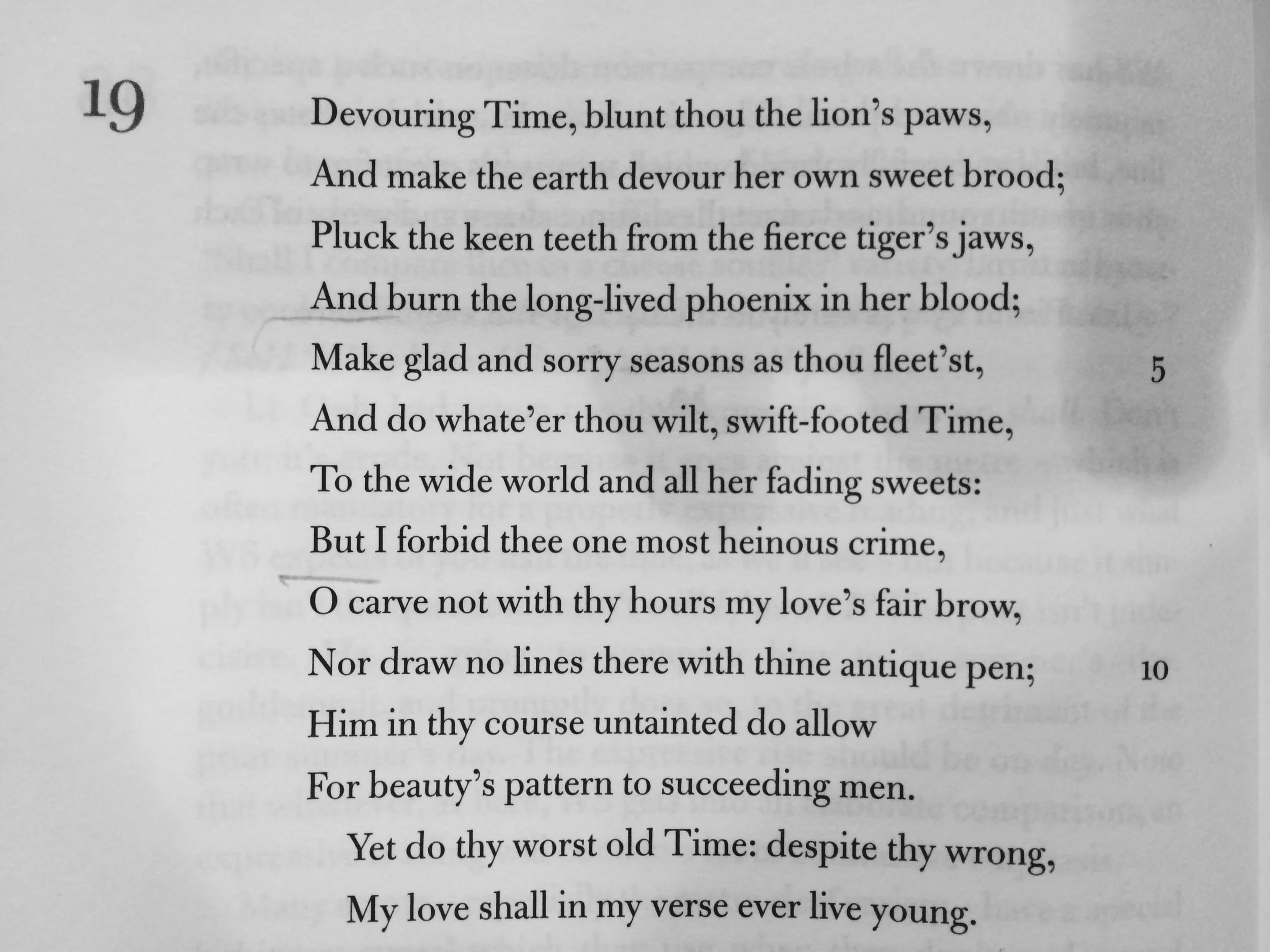 Sonnet 19.