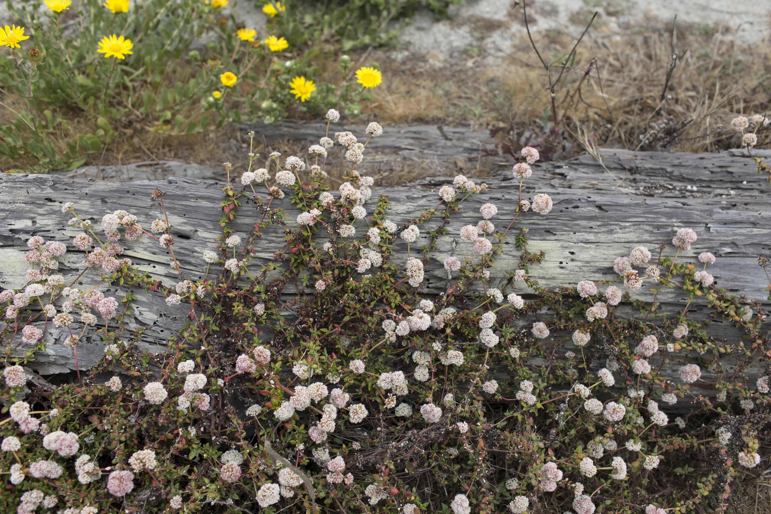 17miledrive2.jpg
