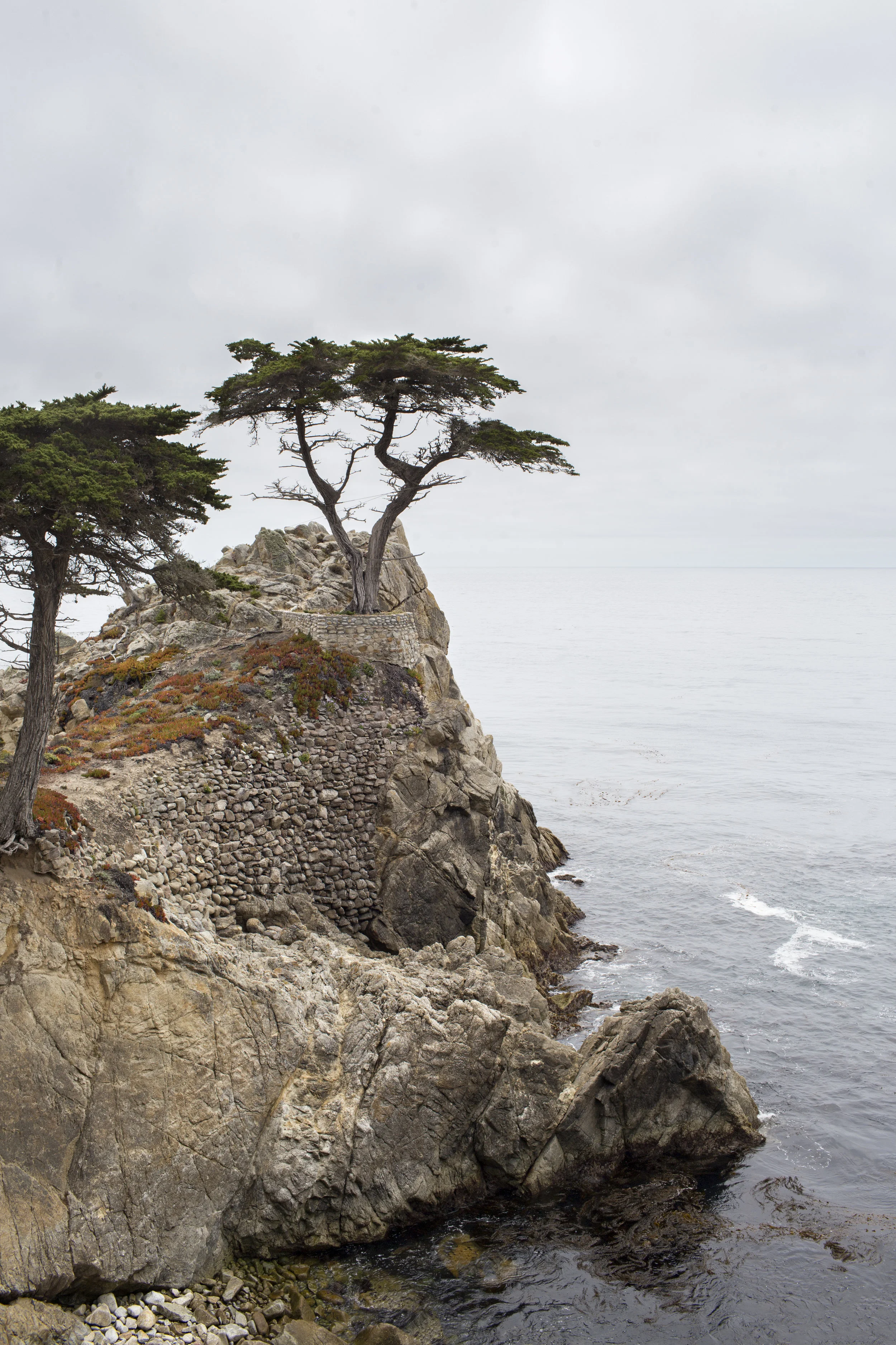 17miledrive_lonecypress1.jpg