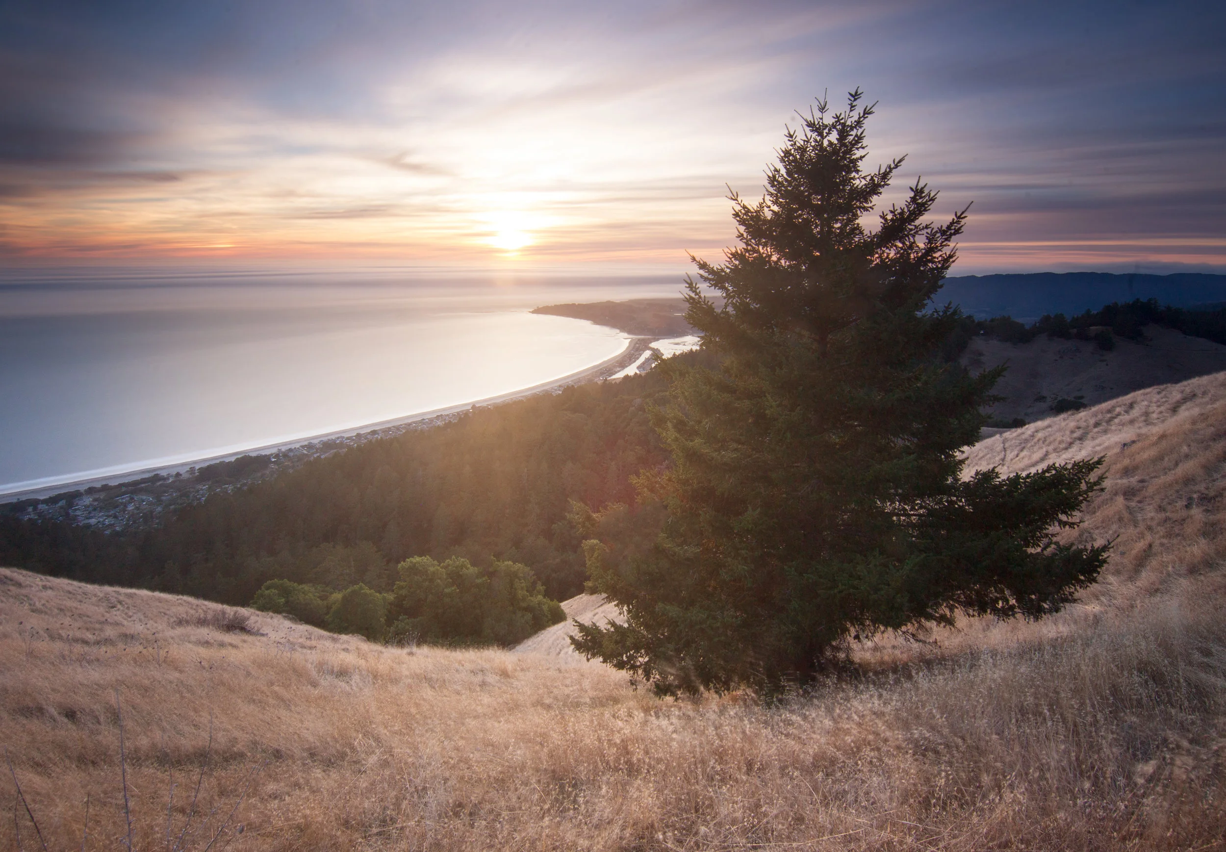 mttam1.jpg