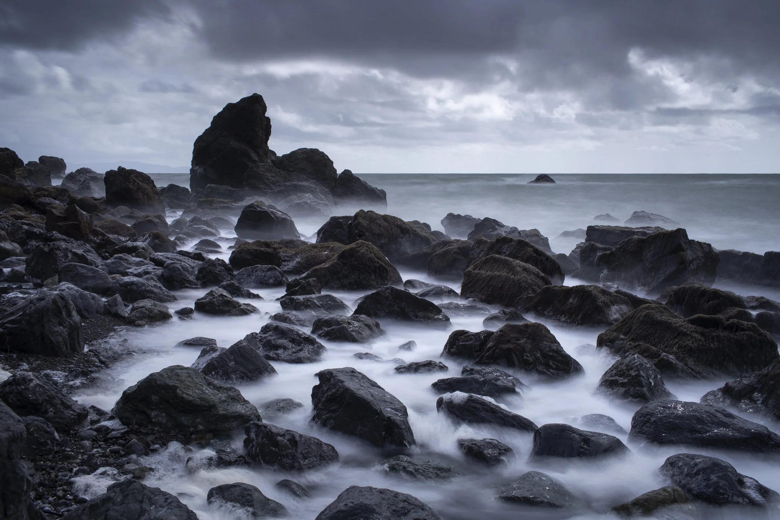 muirbeach1.jpeg