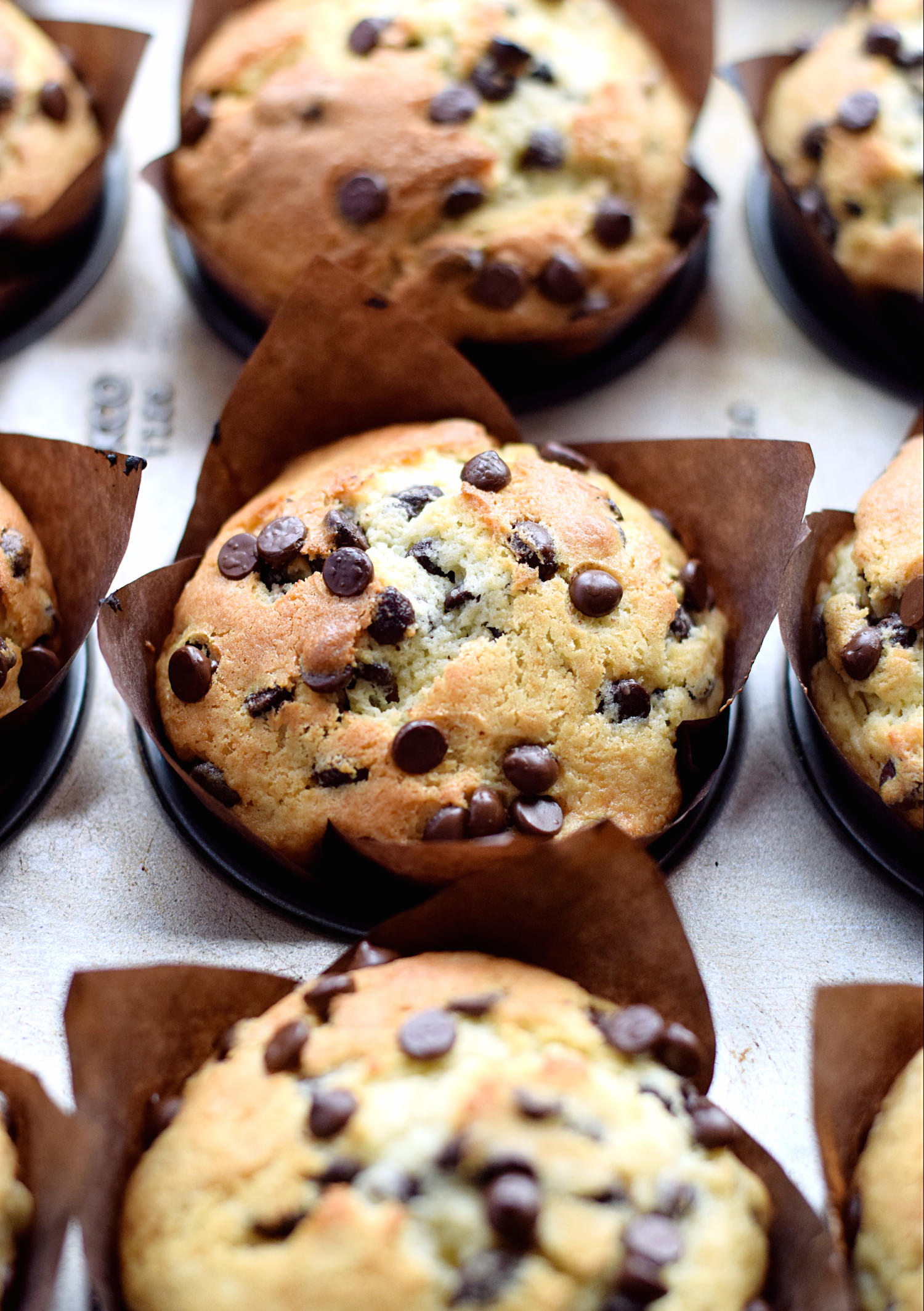 Amazing Chocolate Chip Muffins