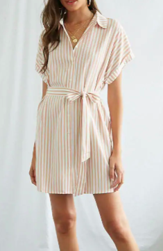 Forever 21 Striped Belted Mini Shirt Dress