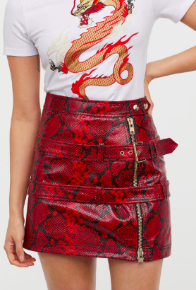 HM Snakeskin-look Leather Skirt