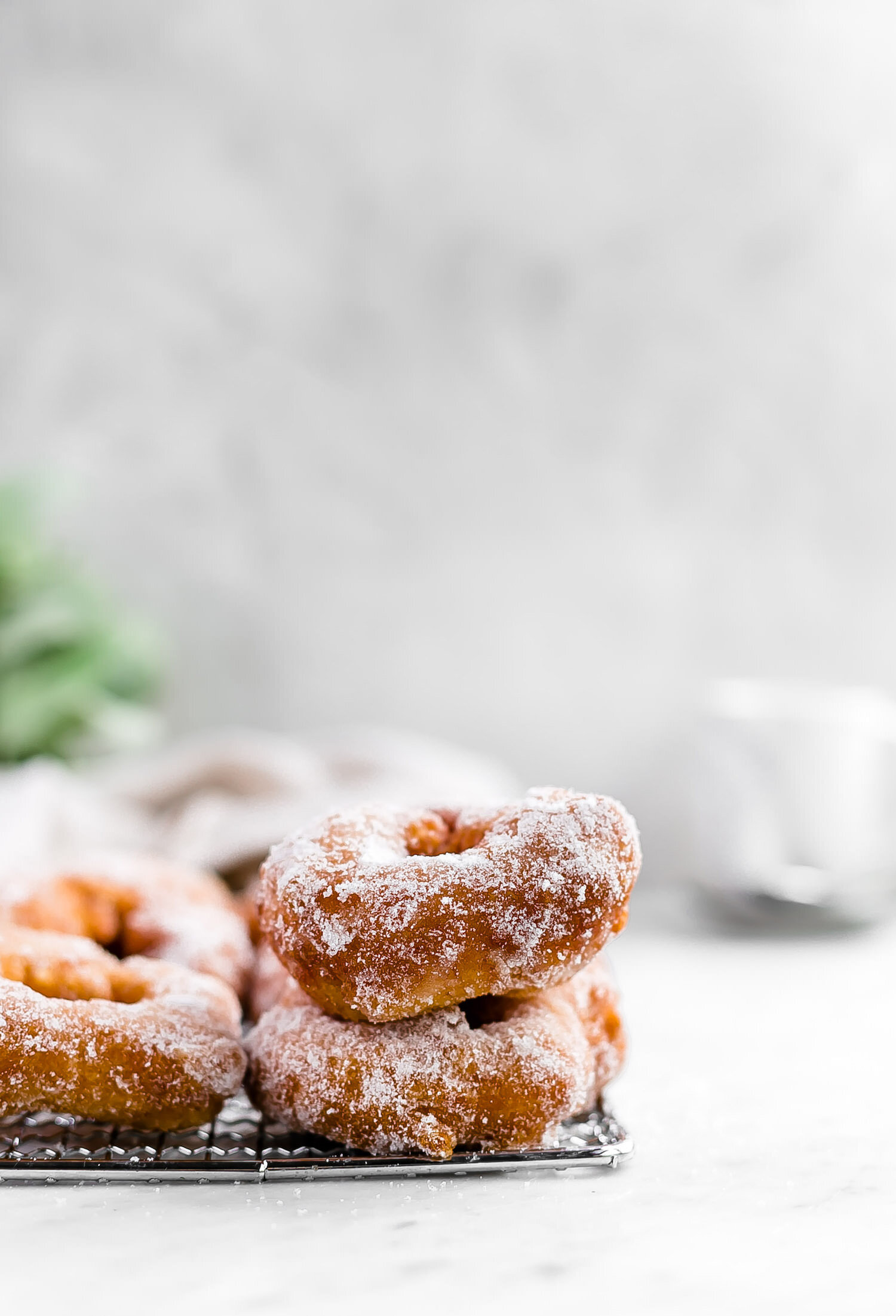 Moroccan Sfinge Donuts | Truffles and Trends