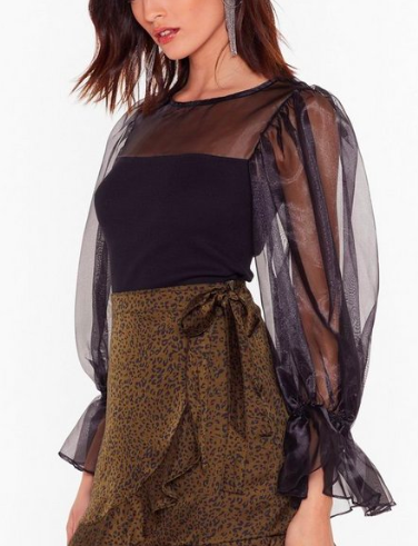 We Are Sheer for It Organza Balloon Sleeve Top