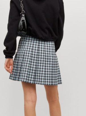 HM Pleated Skirt