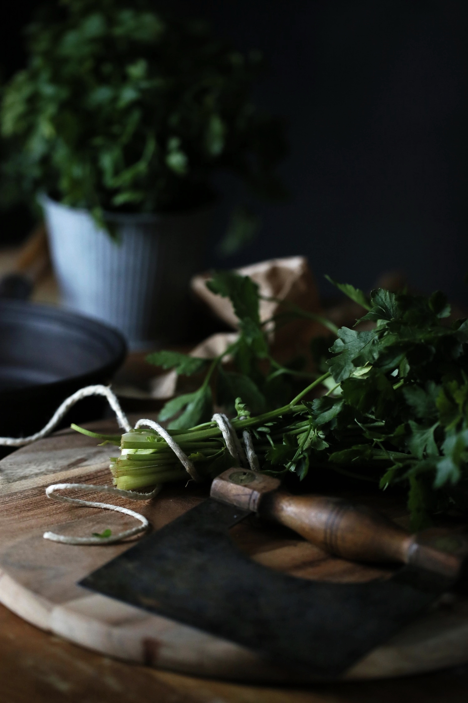 A parsley history #1