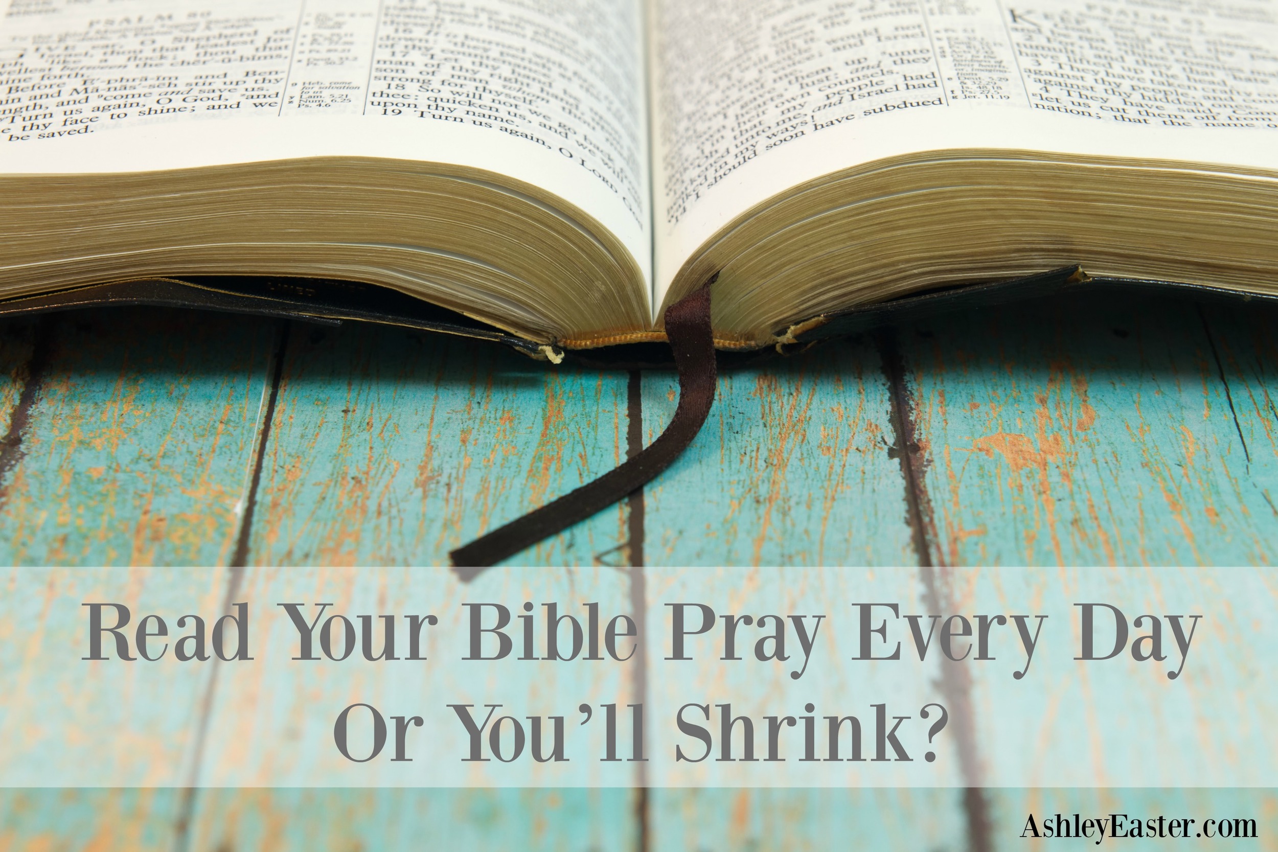 Read Your Bible Pray Every Day Or You ll Shrink Ashley Easter read-your-bible-pray-every-day-or-you-ll-shrink-ashley-easter