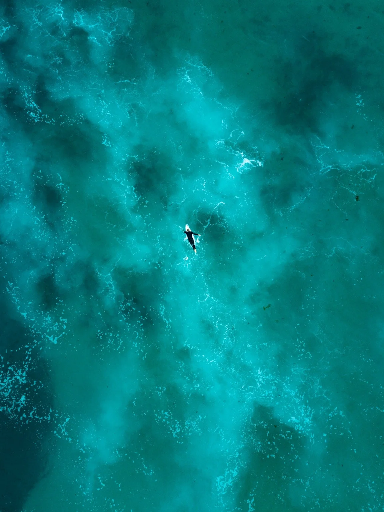aerial-shot-coral-deep-1556796.jpg
